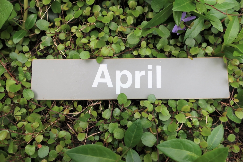 e382bbe383b3e382b9e381aee38182e3828be59898e381aee5ae9fe4be8be381a8e3819de381aee58ab9e69e9ce79a84e381aae4bdbfe38184e696b9