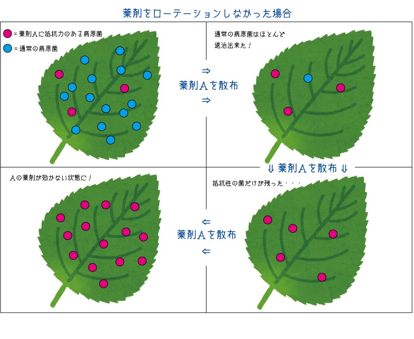 e38390e383a9e381aee896ace589a4e383ade383bce38386e383bce382b7e383a7e383b3e4be8be381a8e58ab9e69e9ce79a84e381aae4bdbfe38184e696b9
