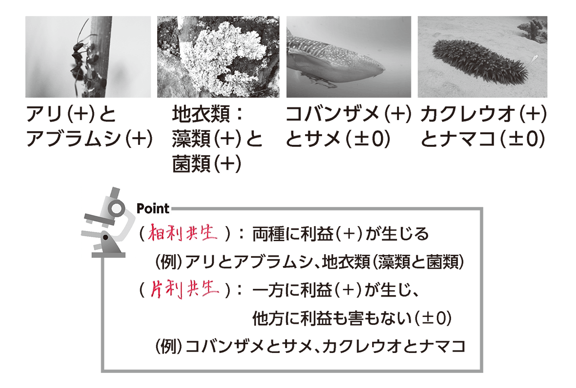 e585b1e7949fe38197e381a6e38184e3828be7949fe3818de789a9e381aee585b7e4bd93e4be8be381a8e3819de381aee996a2e4bf82e680a7